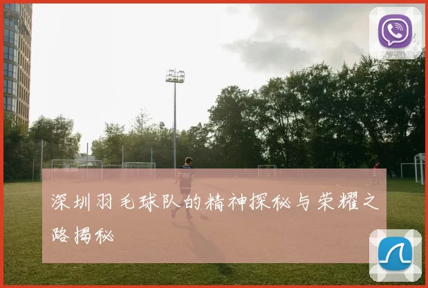深圳羽毛球队的精神探秘与荣耀之路揭秘