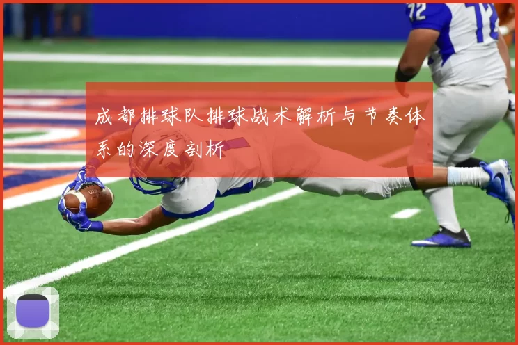 成都排球队排球战术解析与节奏体系的深度剖析