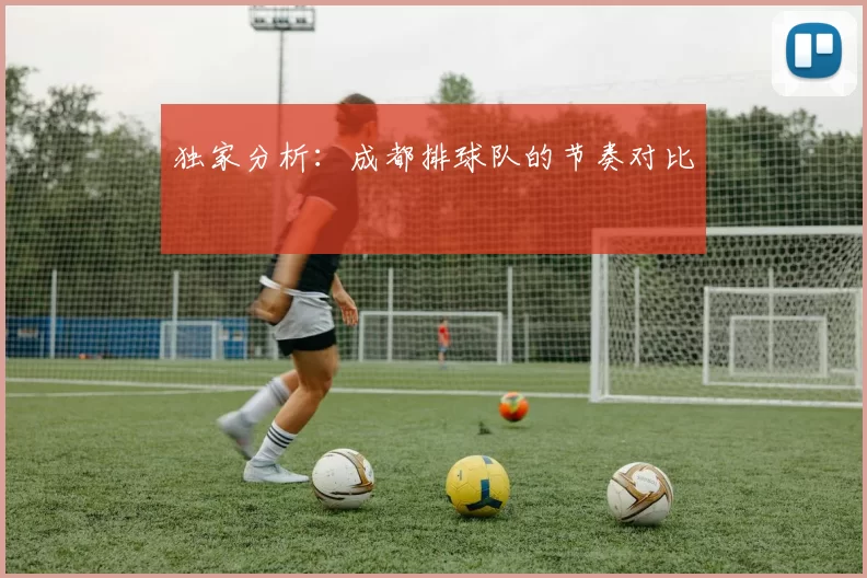独家分析：成都排球队的节奏对比